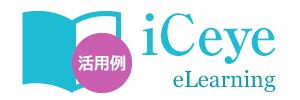 iCeye eLearning